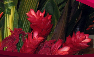 Corporate Flower Arrangements by Le Jardin Florist :: North Palm Beach Florist since 1986