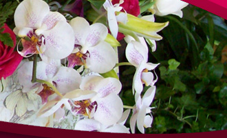 Signature Flower Arrangements by Le Jardin Florist :: North Palm Beach Florist since 1986