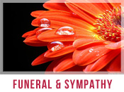 Funeral & Sympathy Flower Arrangements