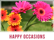 Happy Occasions Flower Arrangements