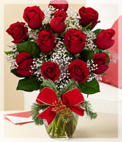 One Dozen Christmas Roses :: Special Arrangement